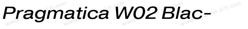 Pragmatica W02 Blac字体转换